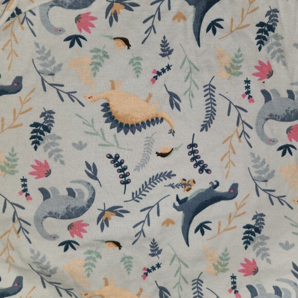 Crewcuts Girls 14 Blue Long Sleeve Dinosaur Print Pajama Set  4084 - Picture 3 of 7